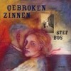 Cover Gebroken Zinnen