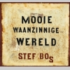 Cover Mooie Waanzinnige Wereld - CD